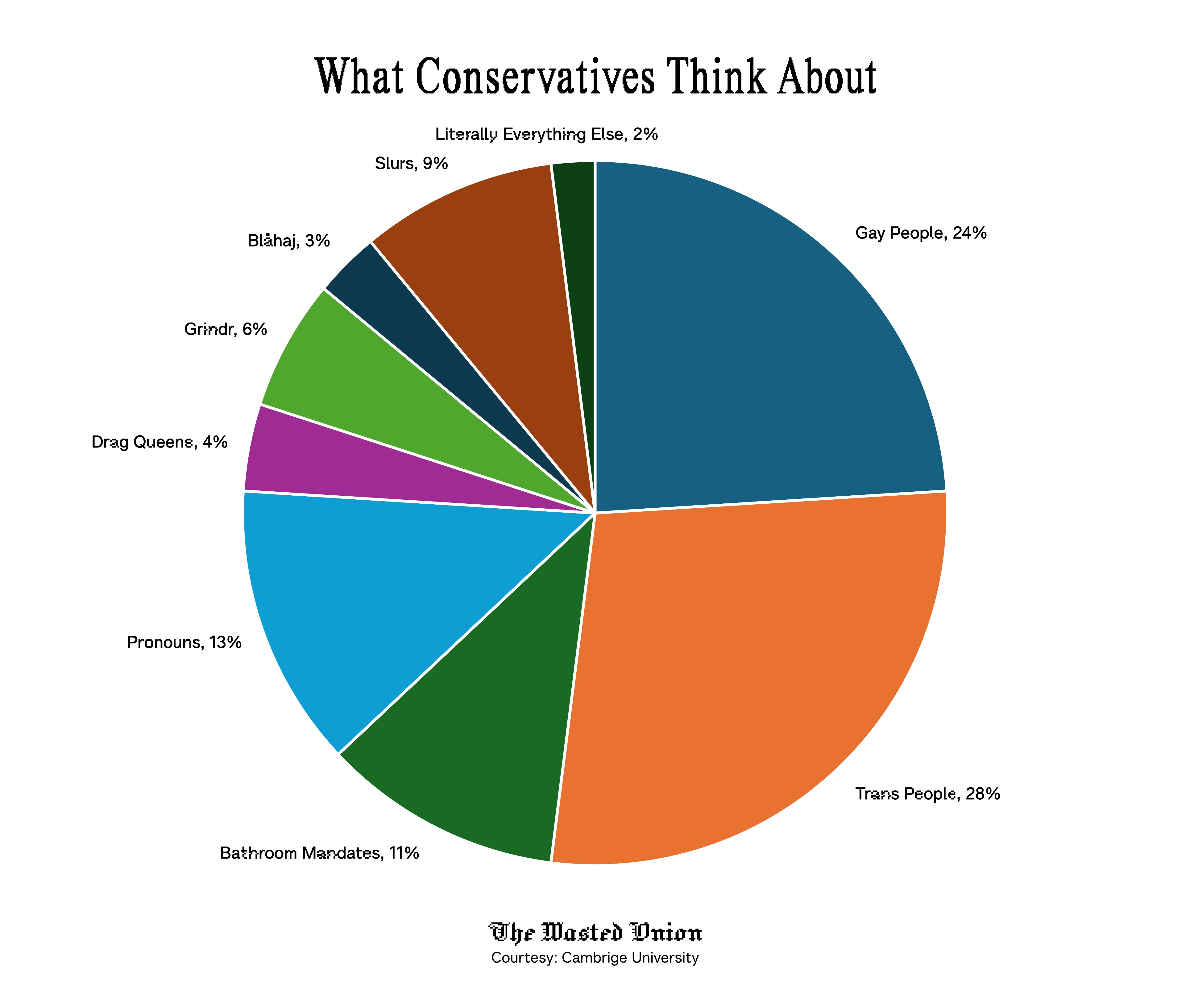 Pie chart showing the thoughts of conservatives